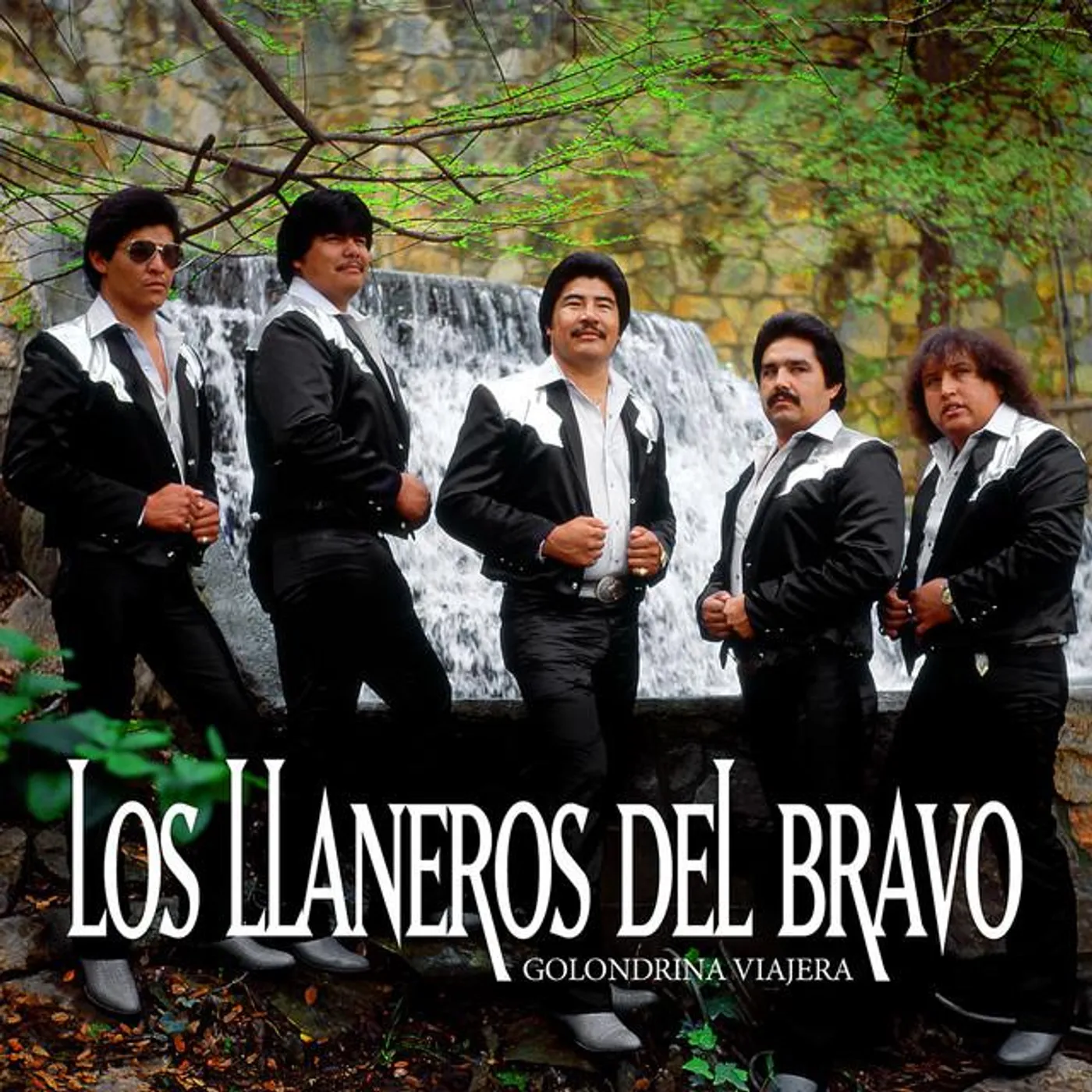 Los Llaneros del Bravo