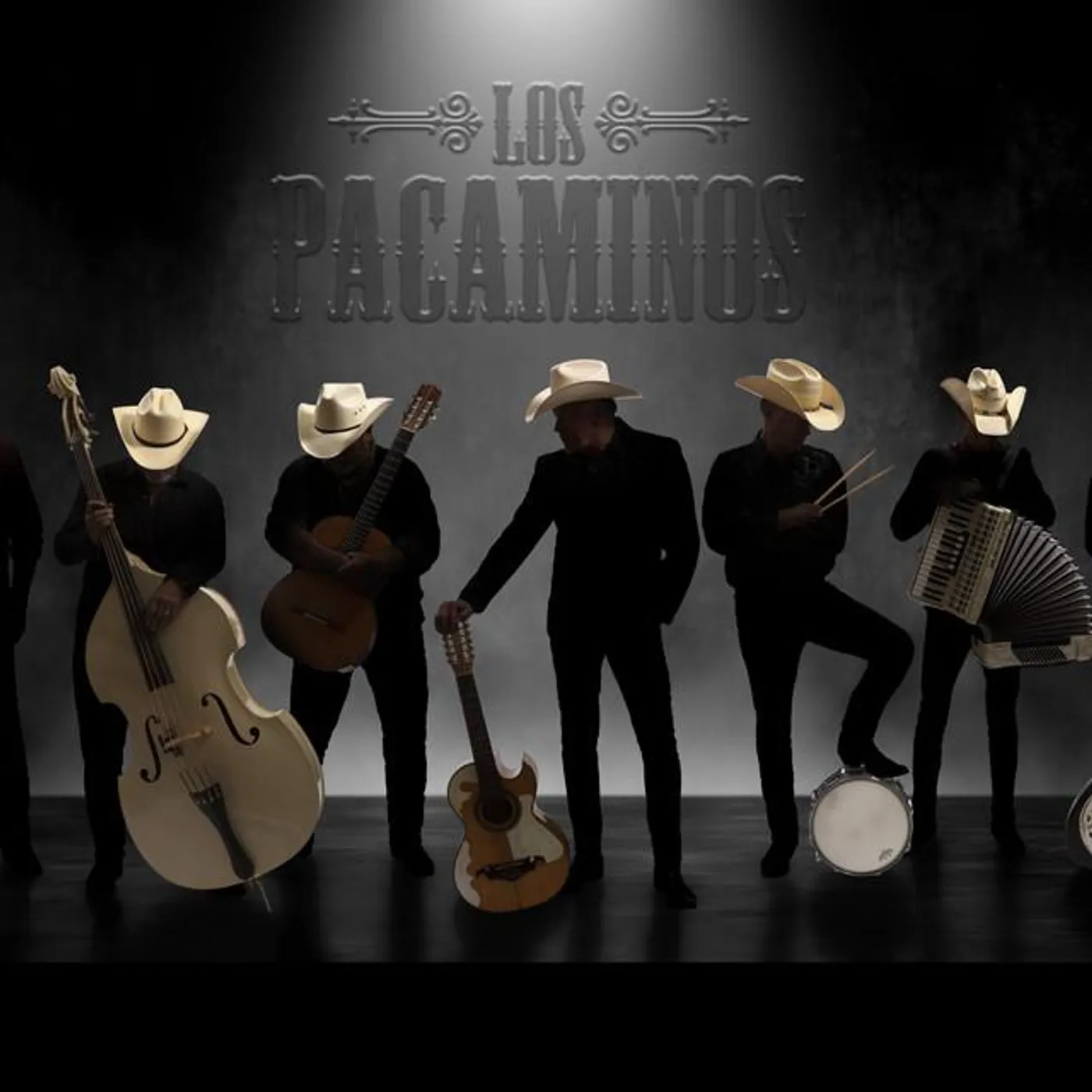 Los Pacaminos Brand Page
