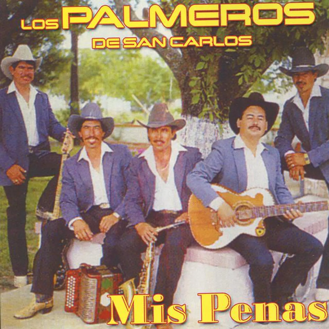 Los Palmeros de San Carlos Brand Page