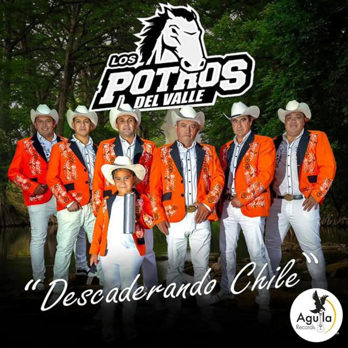 LOS POTROS DEL VALLE