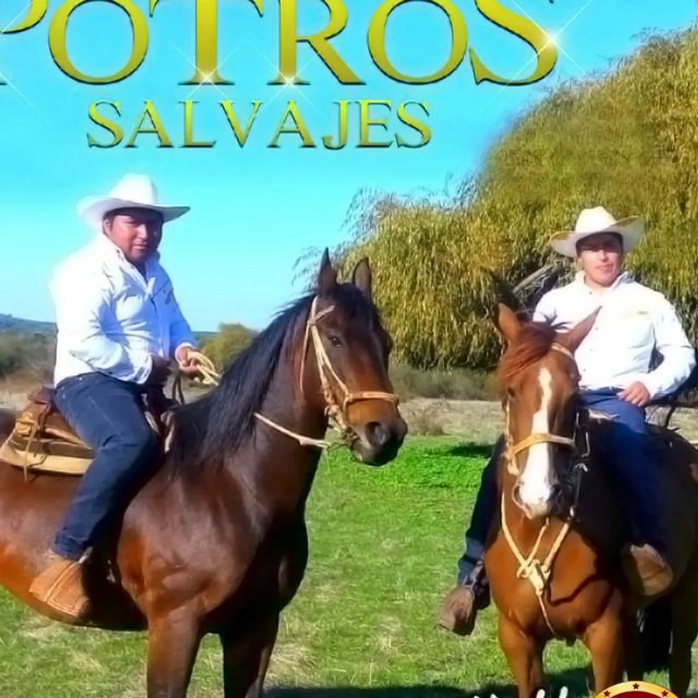 Los Potros Salvajes Brand Page