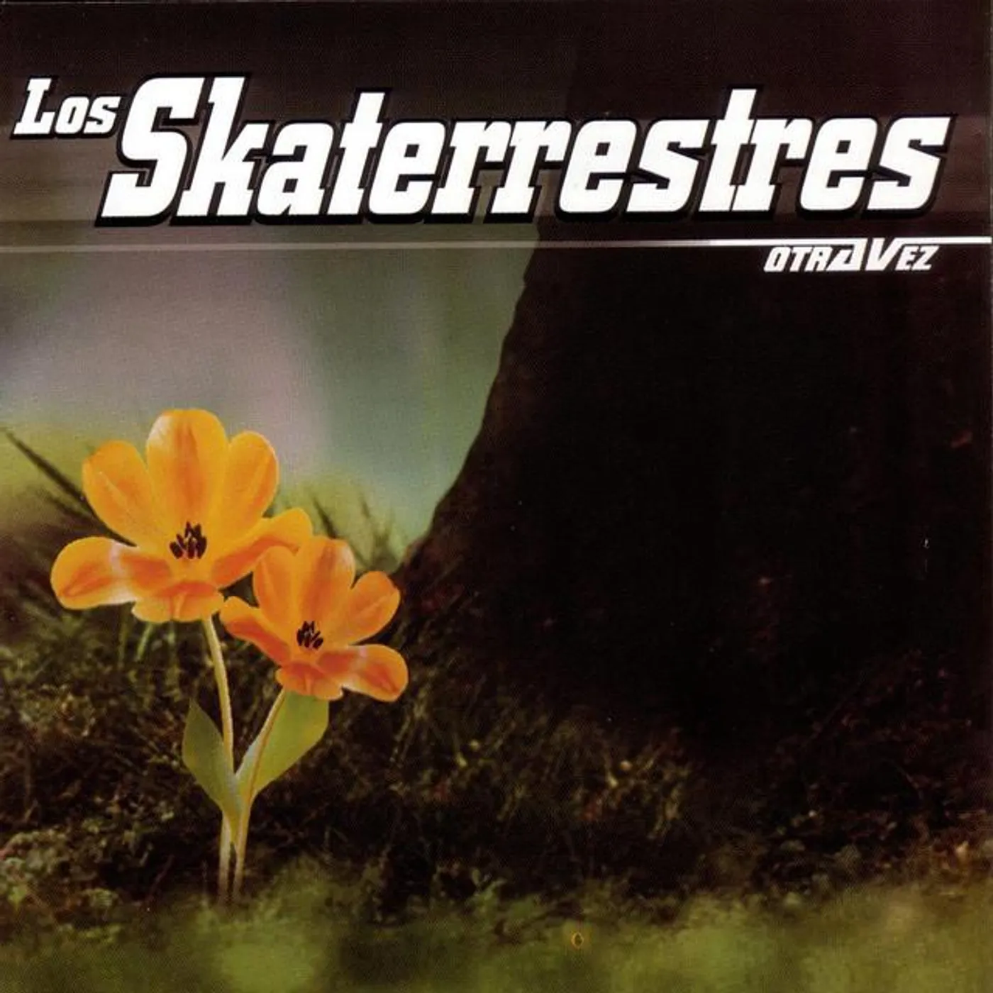 Los Skaterrestres