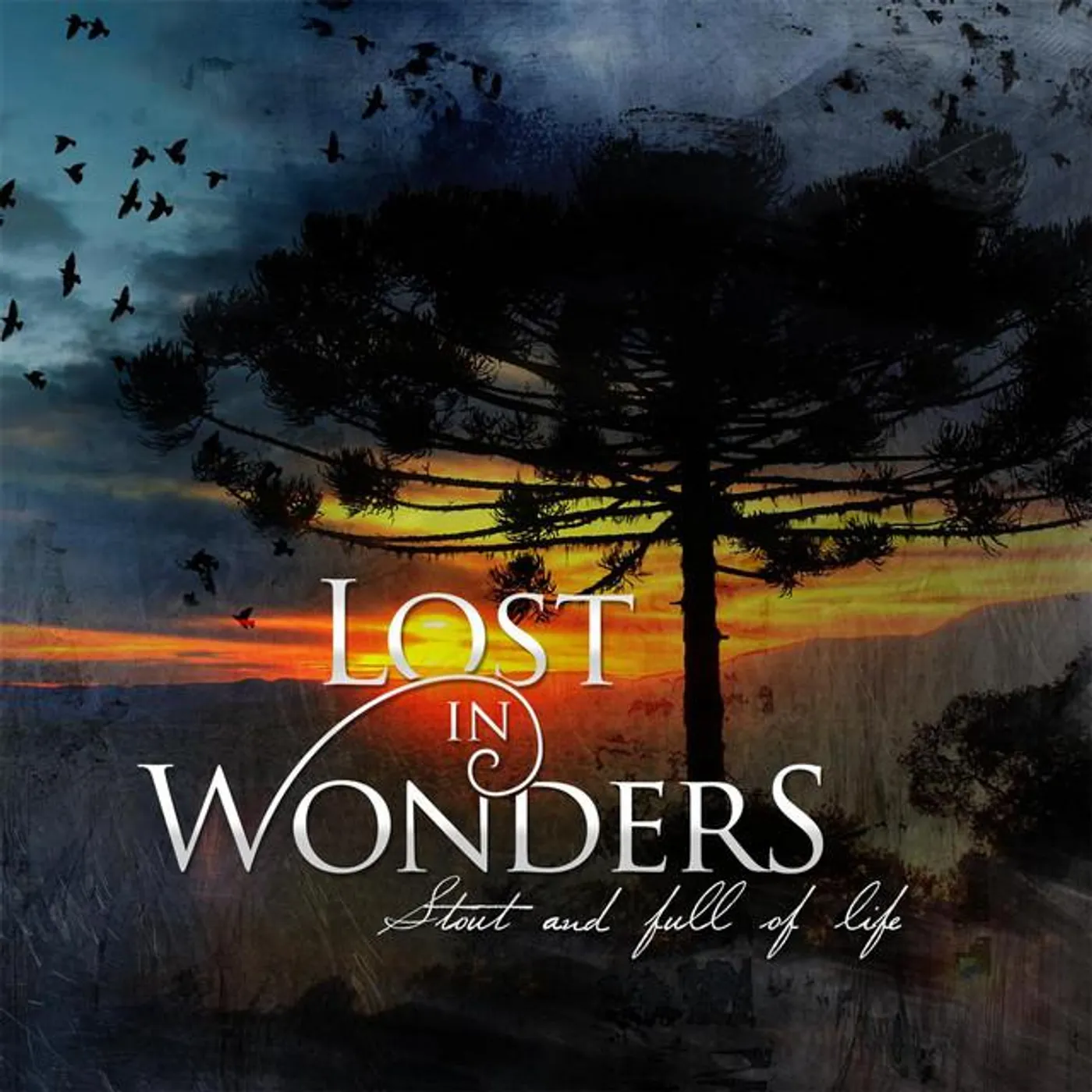 Lost in Wonders