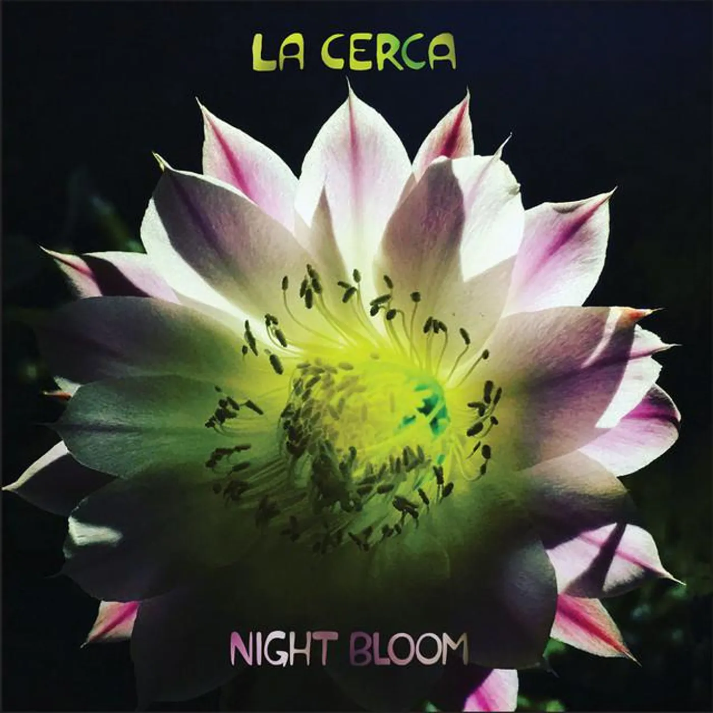 La Cerca Brand Page