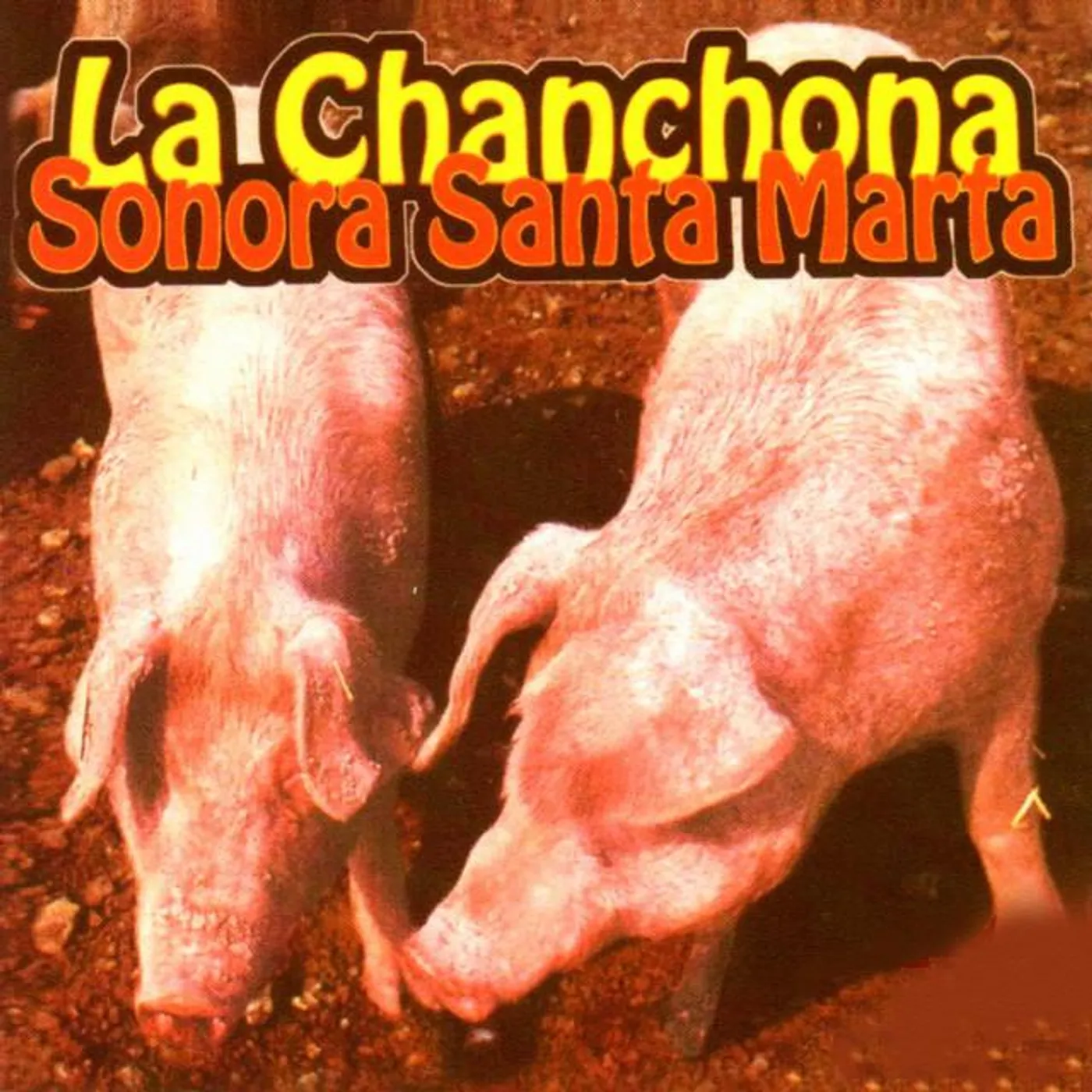 La Chanchona Sonora Santa Marta