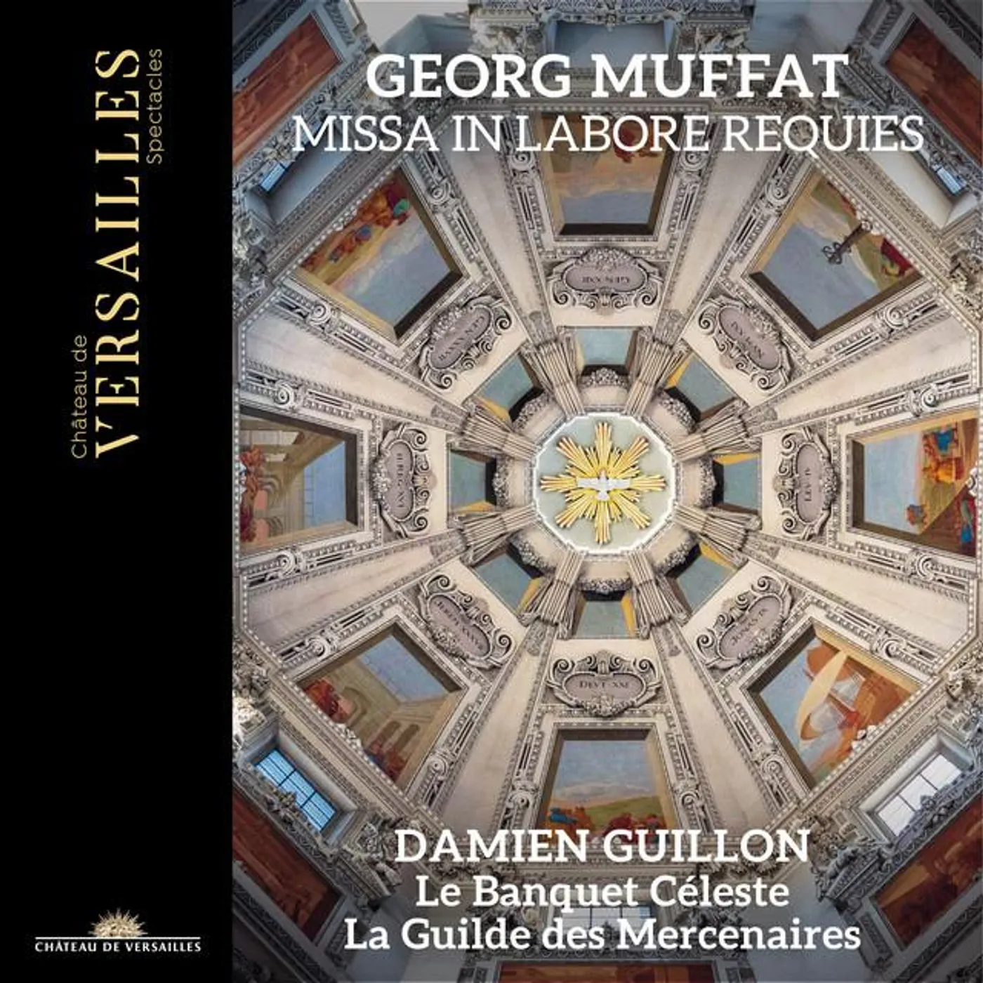 La Guilde des Mercenaires