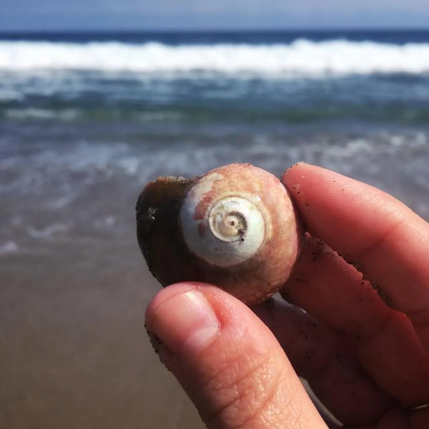 La Mer