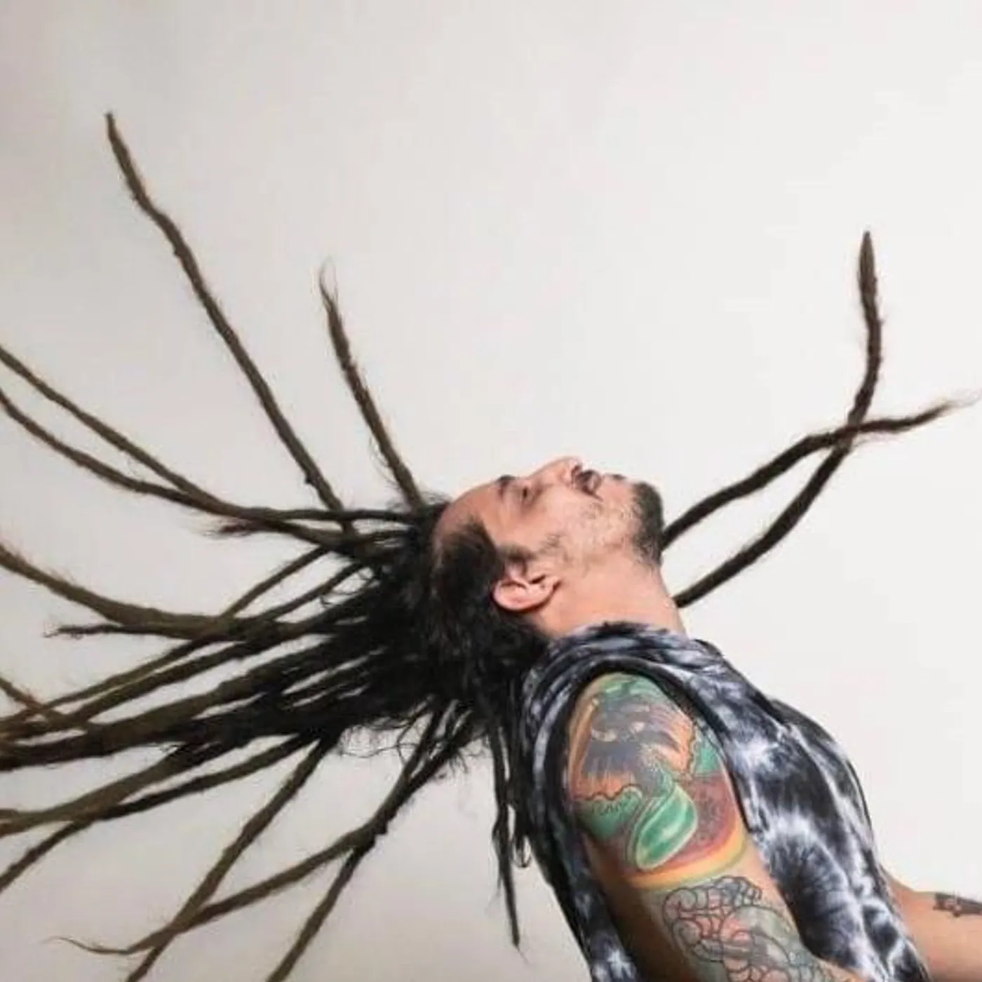 La Siega Roots