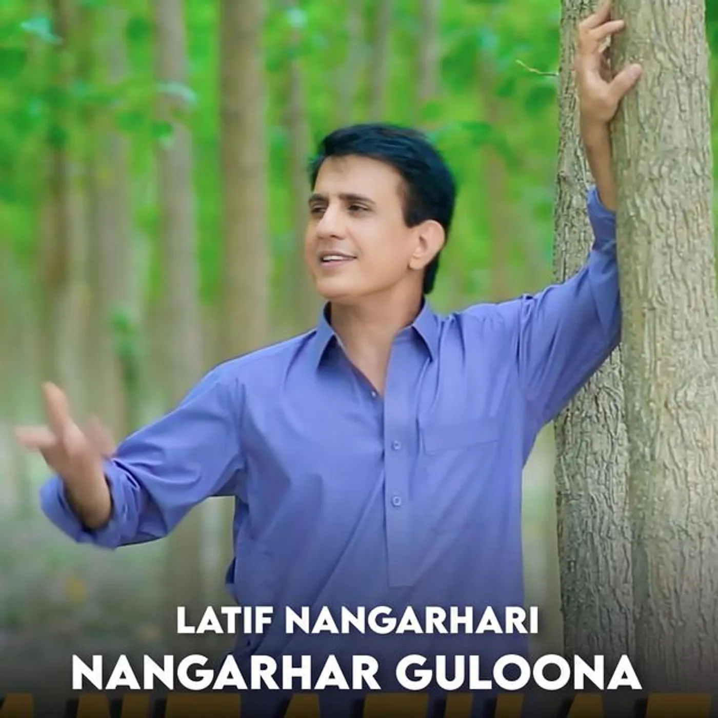 Latif Nangarhari