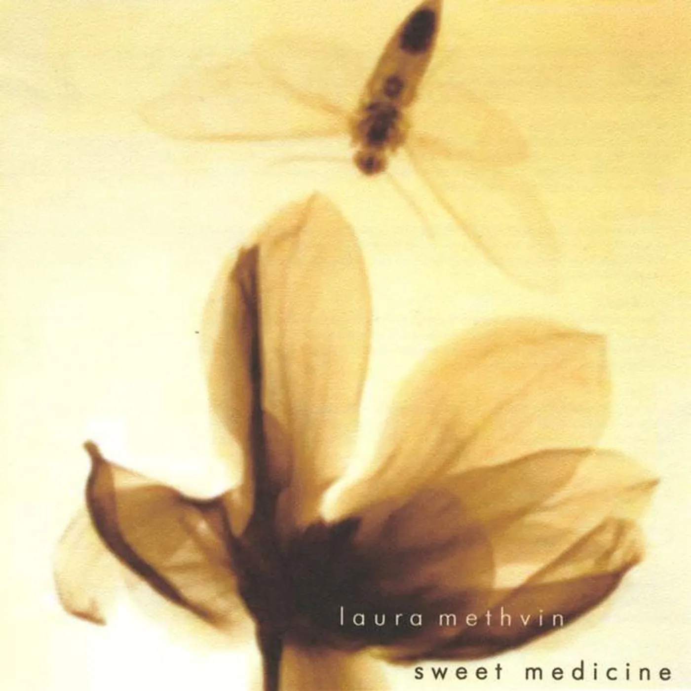 Laura Methvin Brand Page