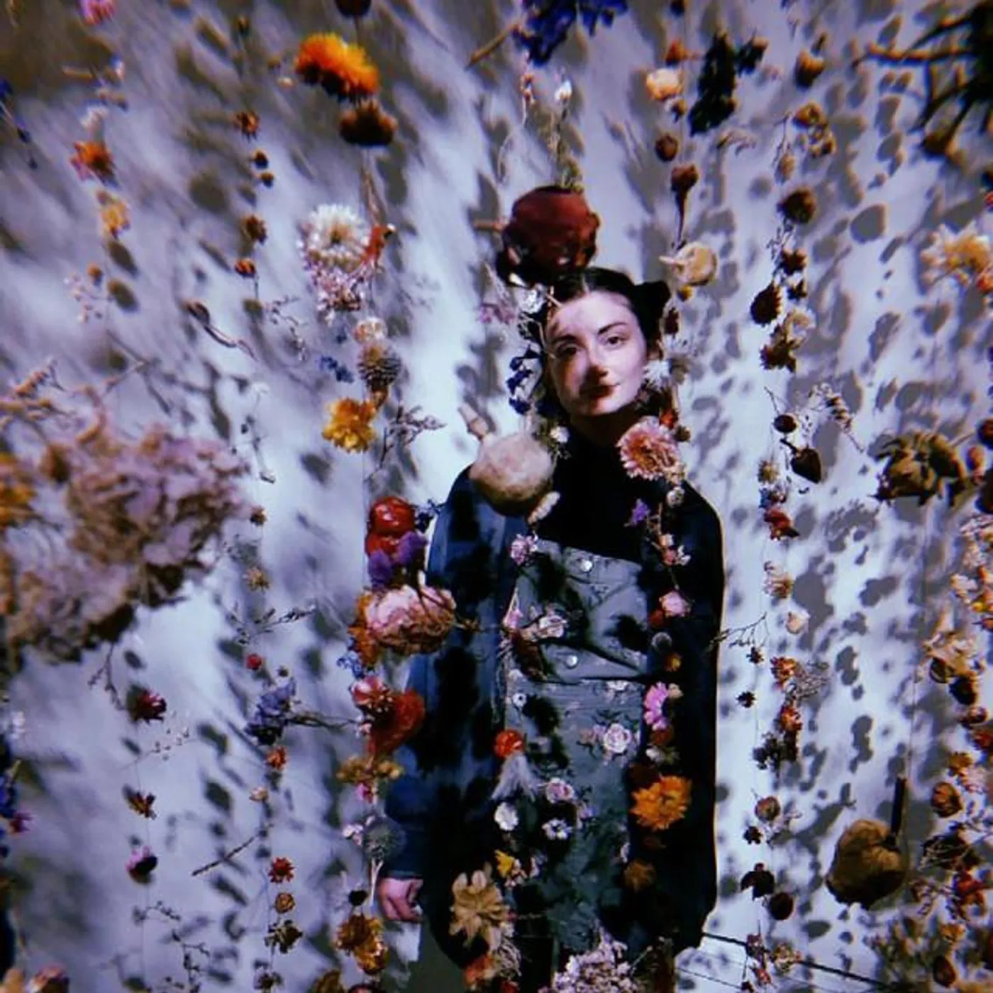 Lavender Ray