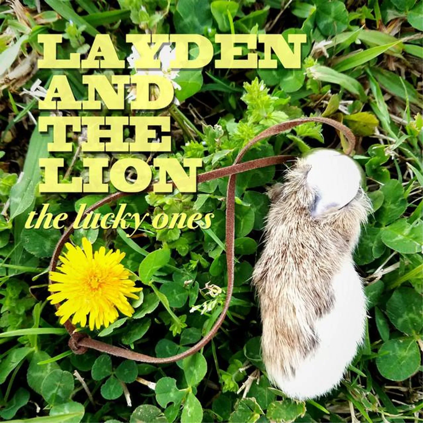 Layden & the Lion