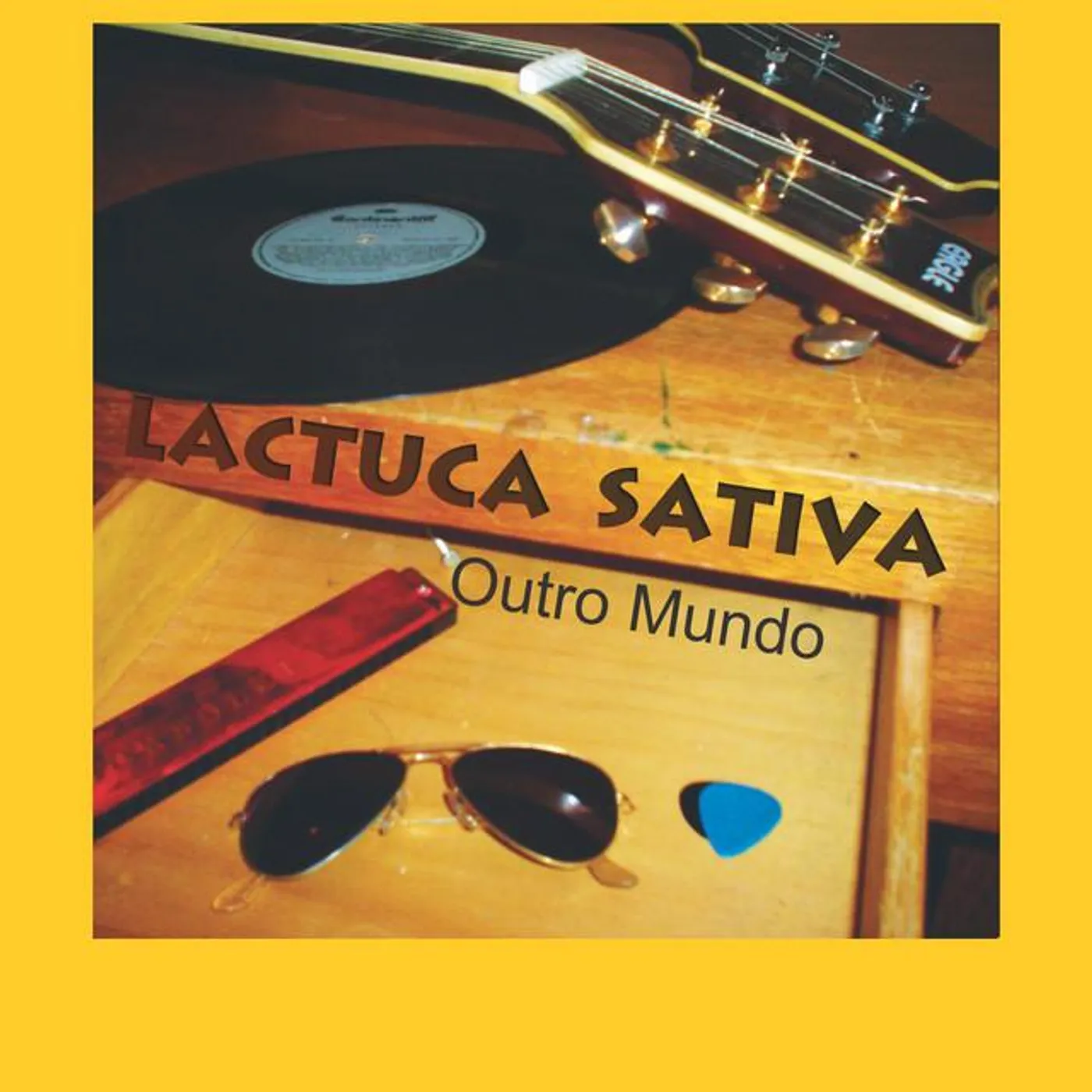 Lactuca Sativa
