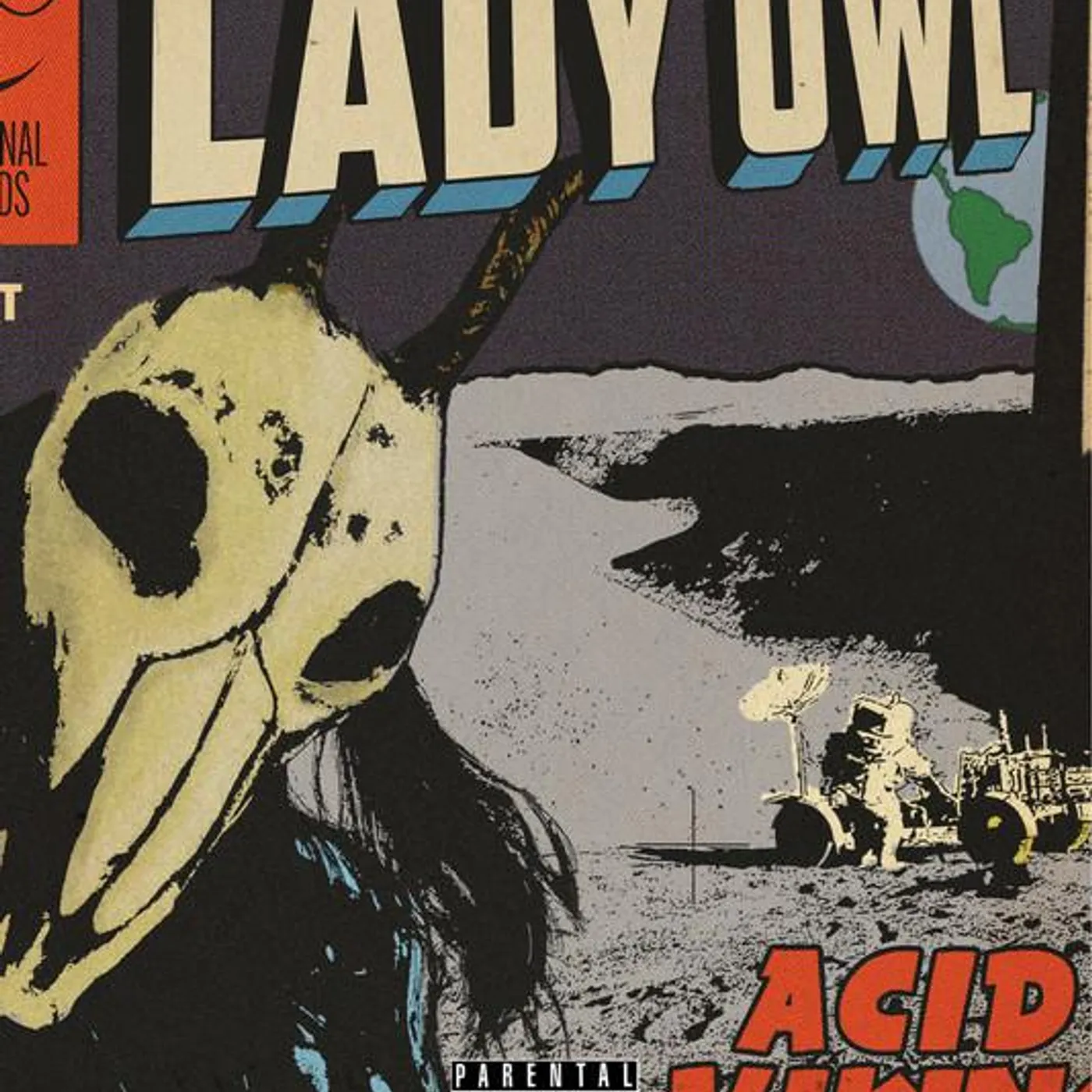 Lady Owl