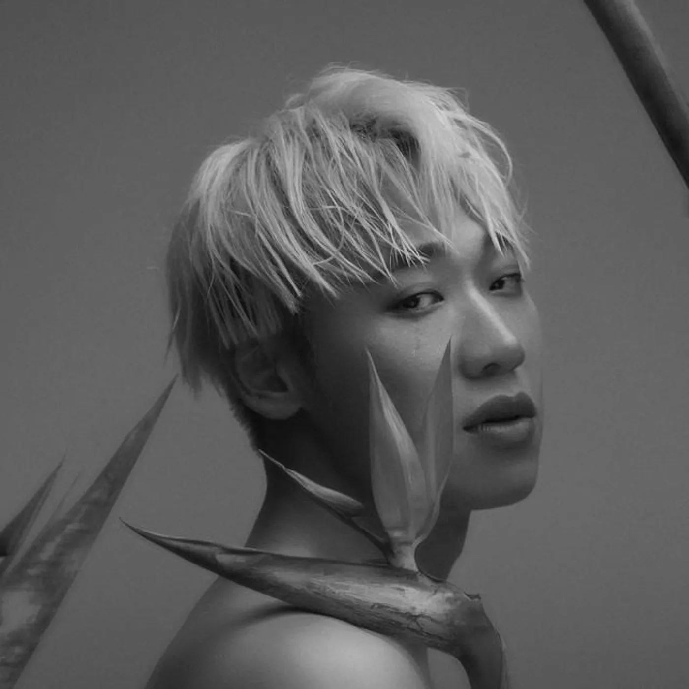 Lai