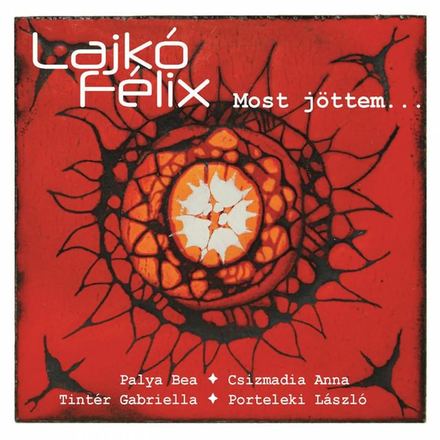 Lajkó Félix Brand Page