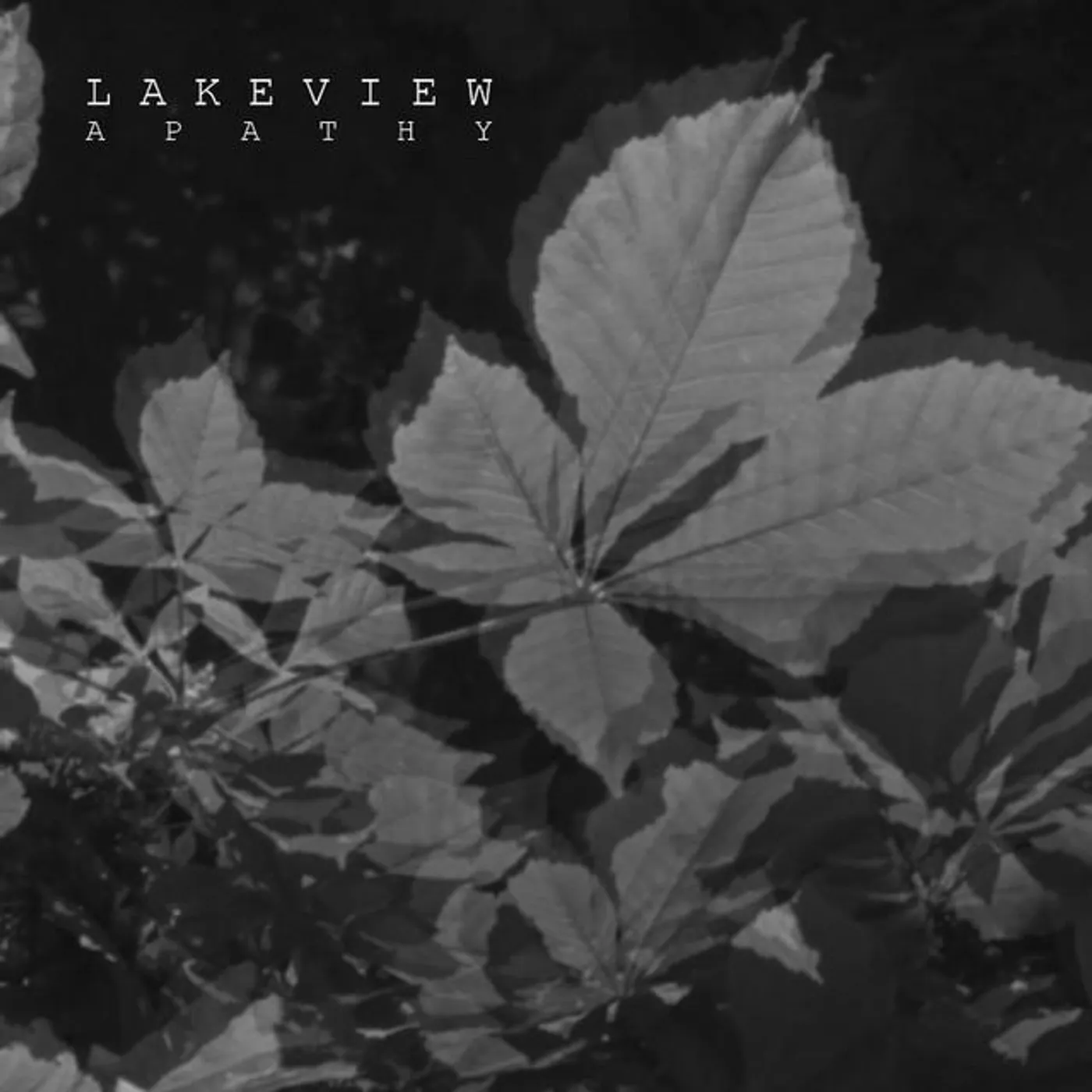 Lakeview