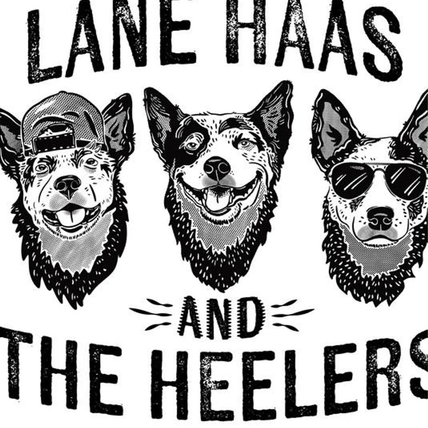 Lane Haas