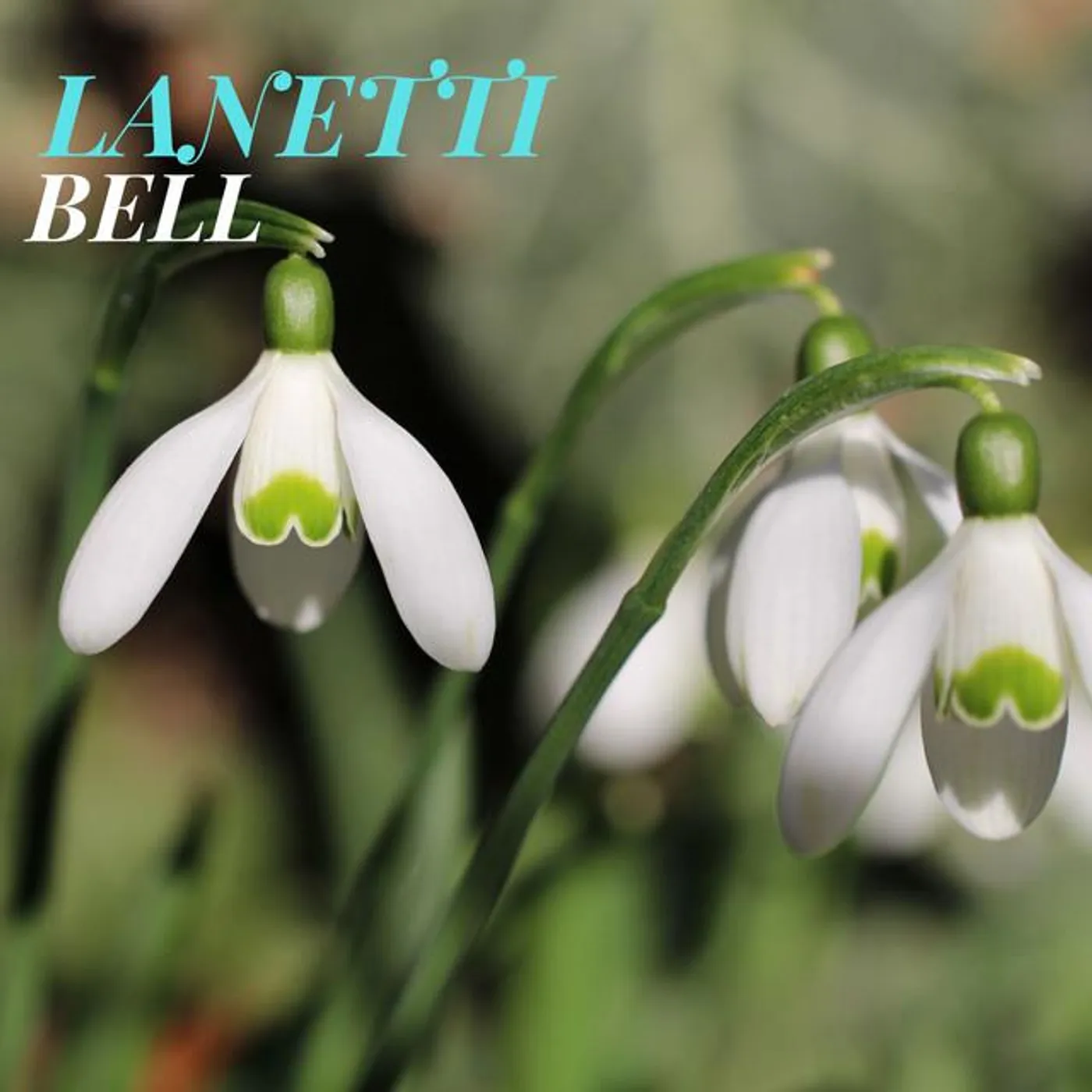 Lanetti