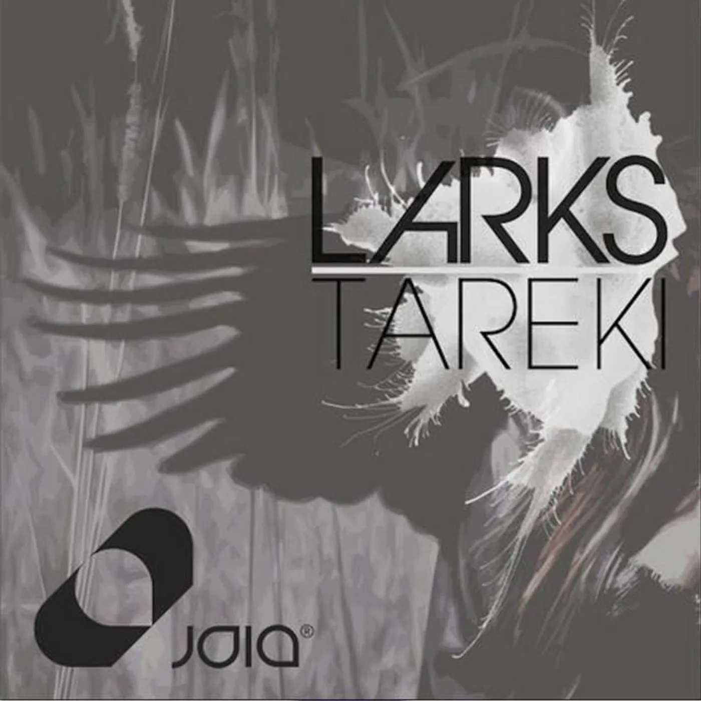 Larks