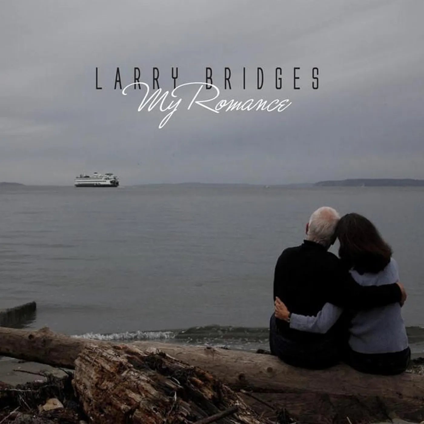 Larry Bridges Brand Page