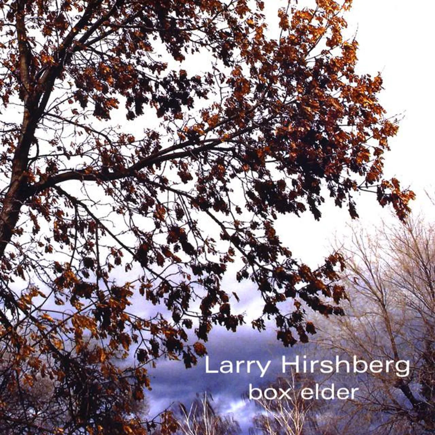 Larry Hirshberg