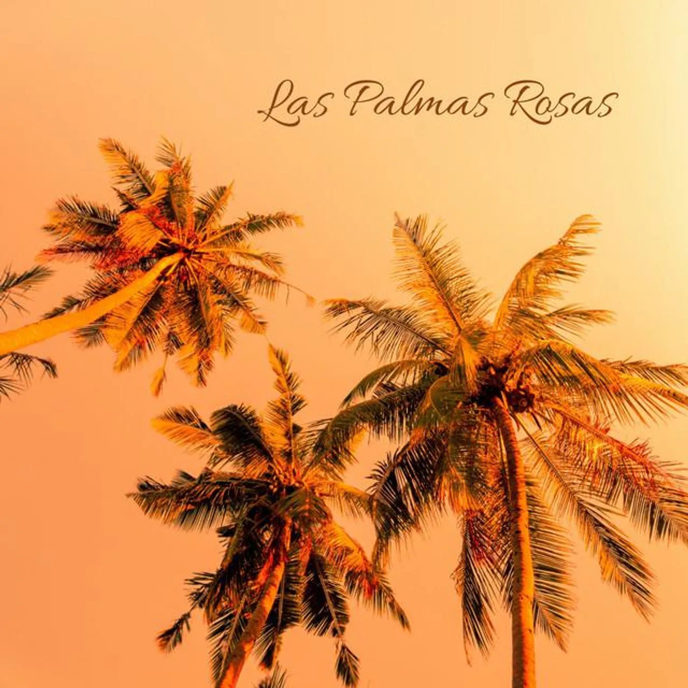 Las Palmas Rosas