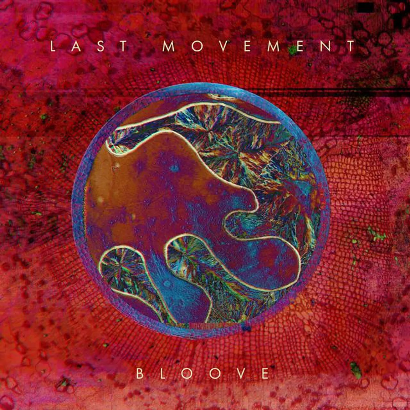 Last Movement