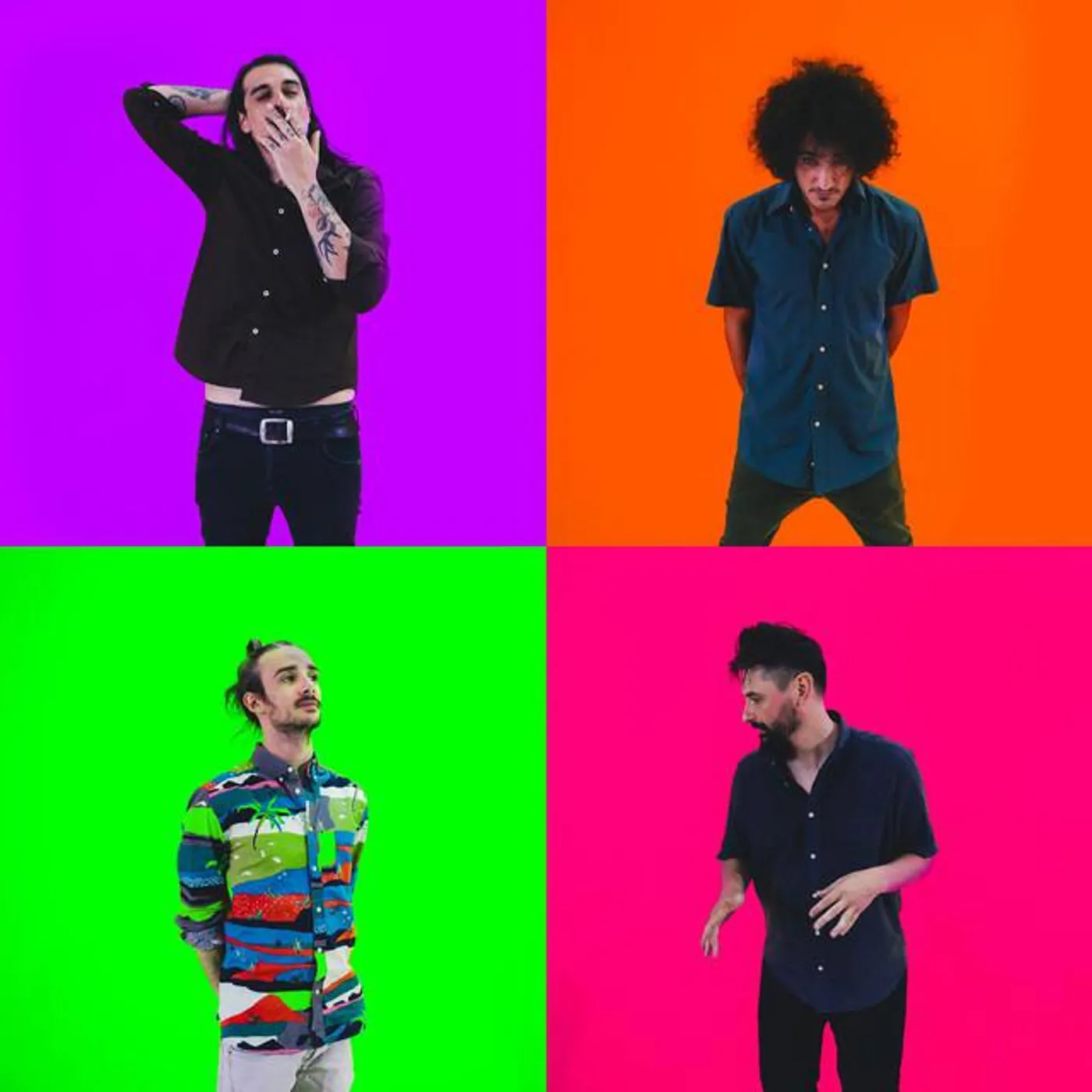 Le Scimmie Sulla Luna