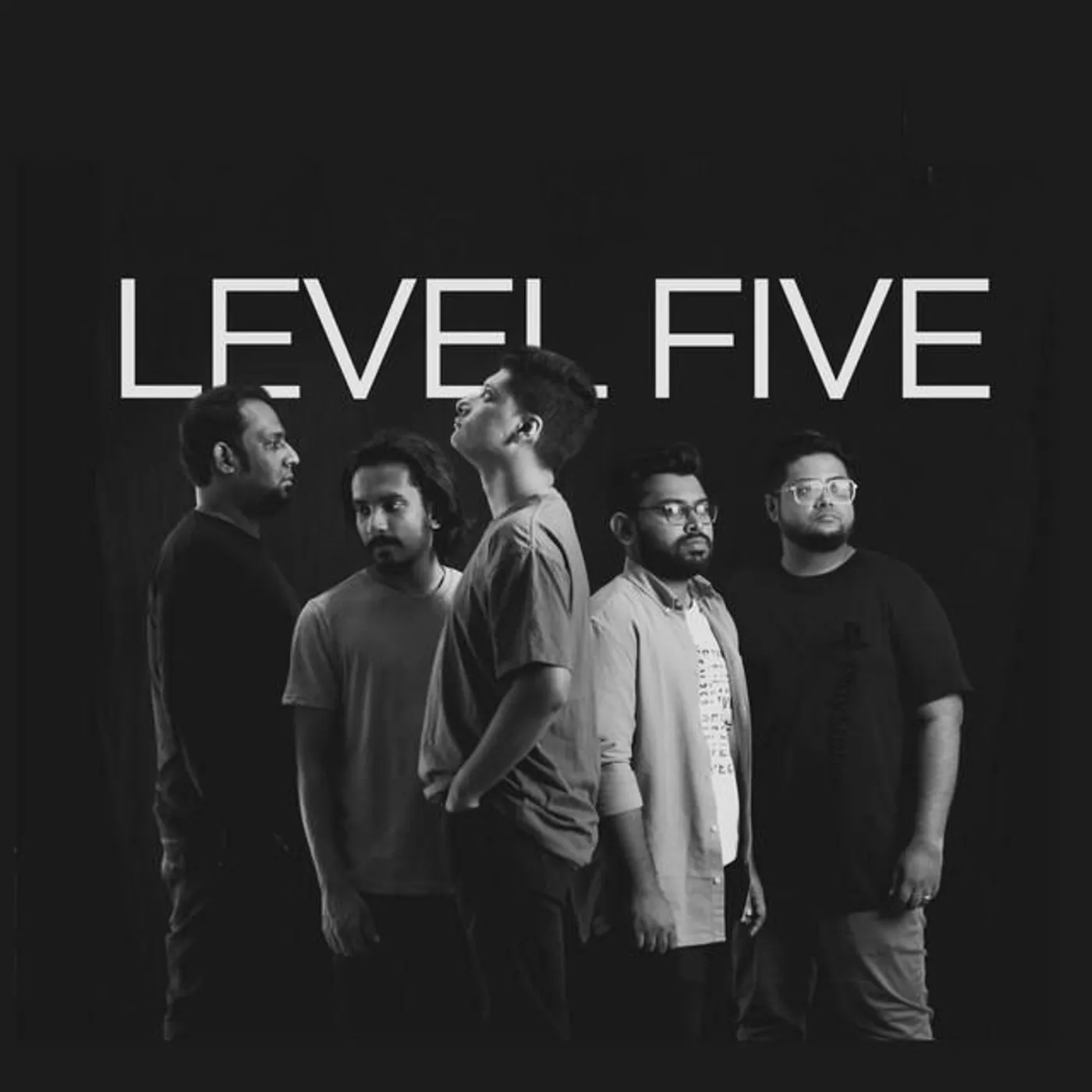 Level Five Brand Page