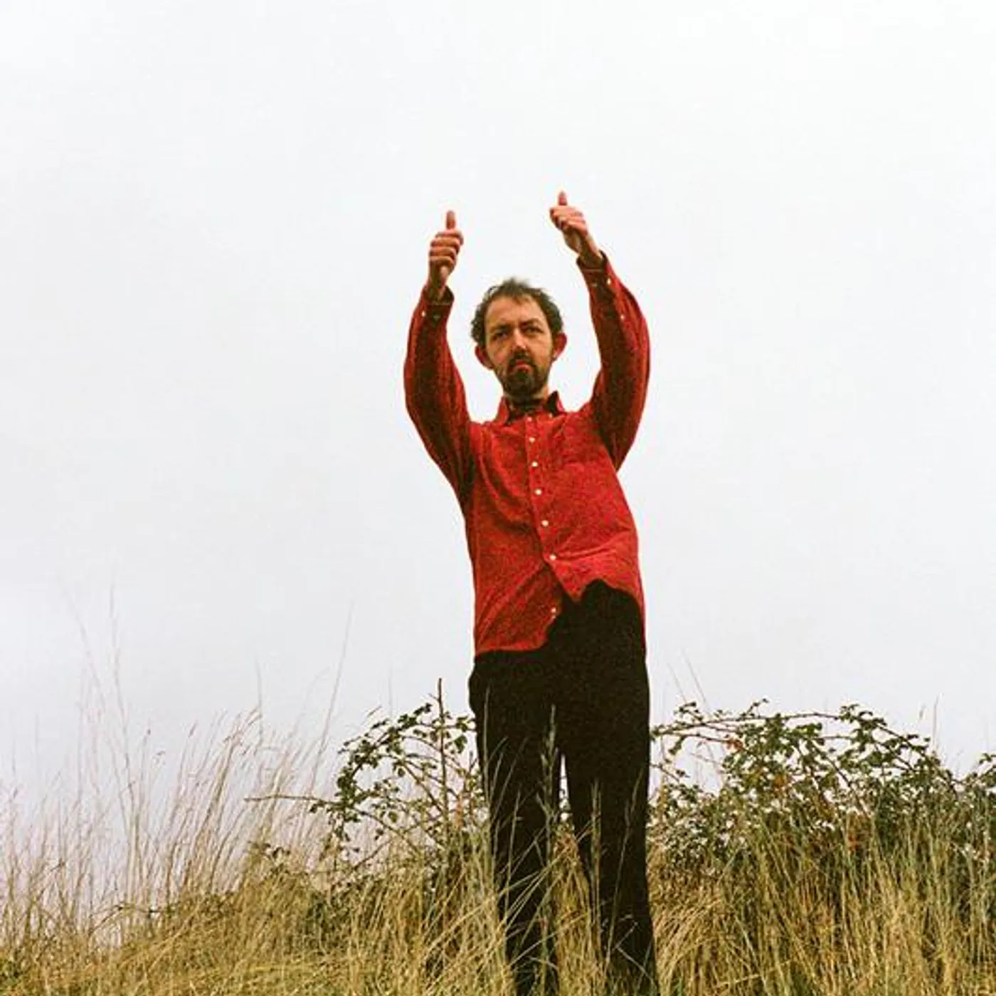 Lewis Coleman Brand Page