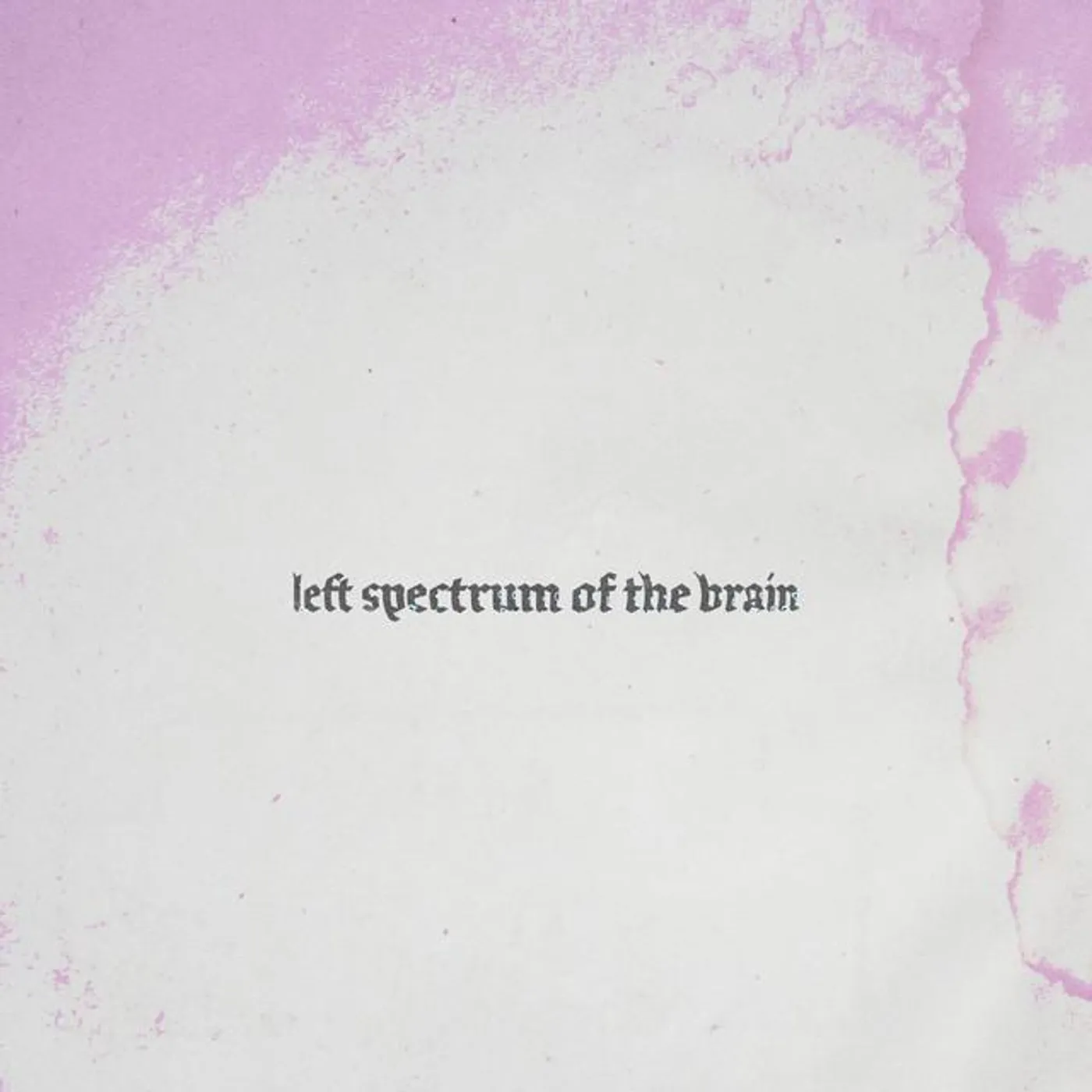 Left spectrum of the brain