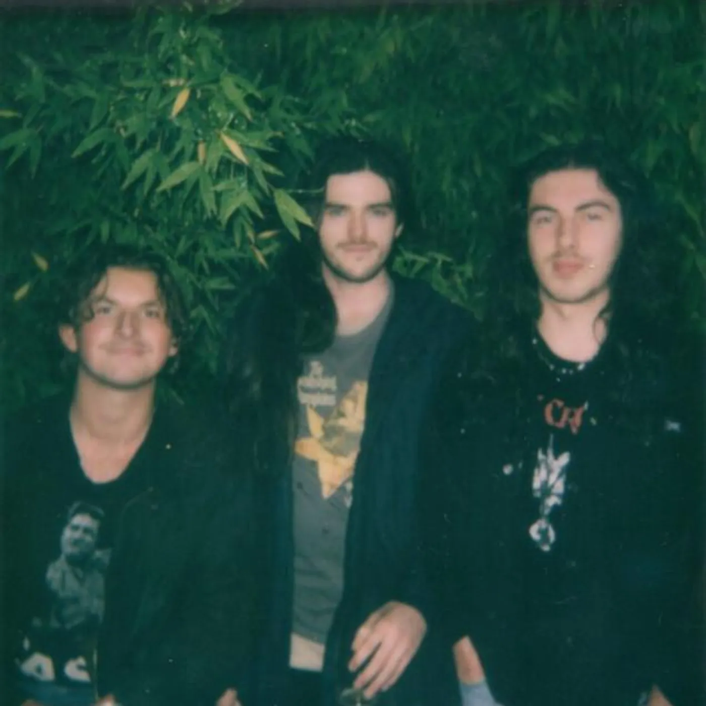 Legal Noise Brand Page