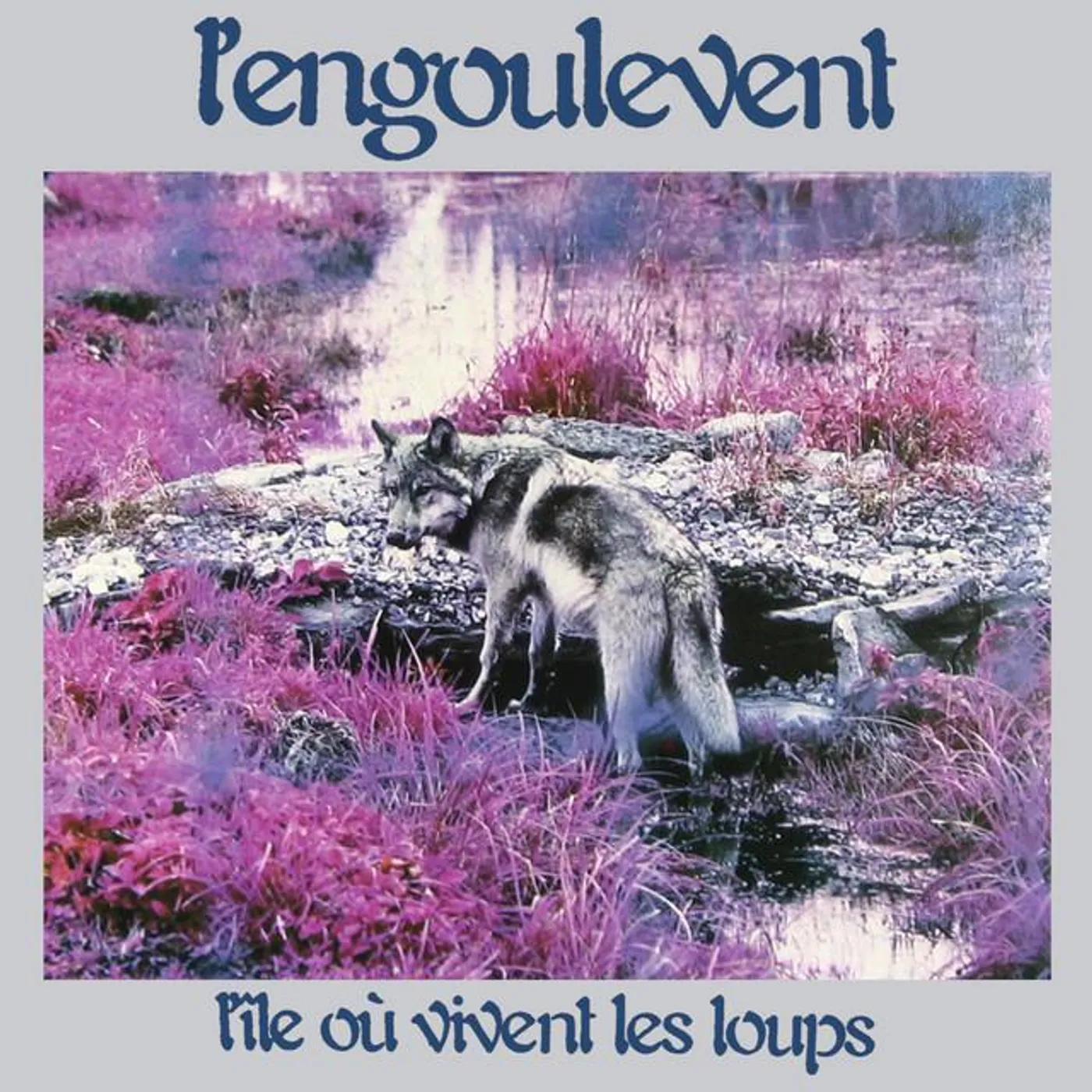 L'engoulevent