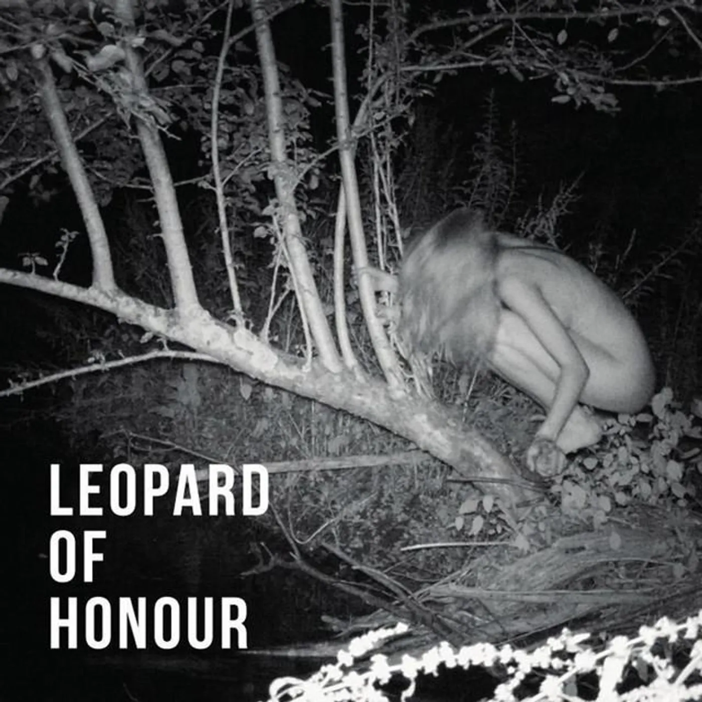 Leopard of Honour