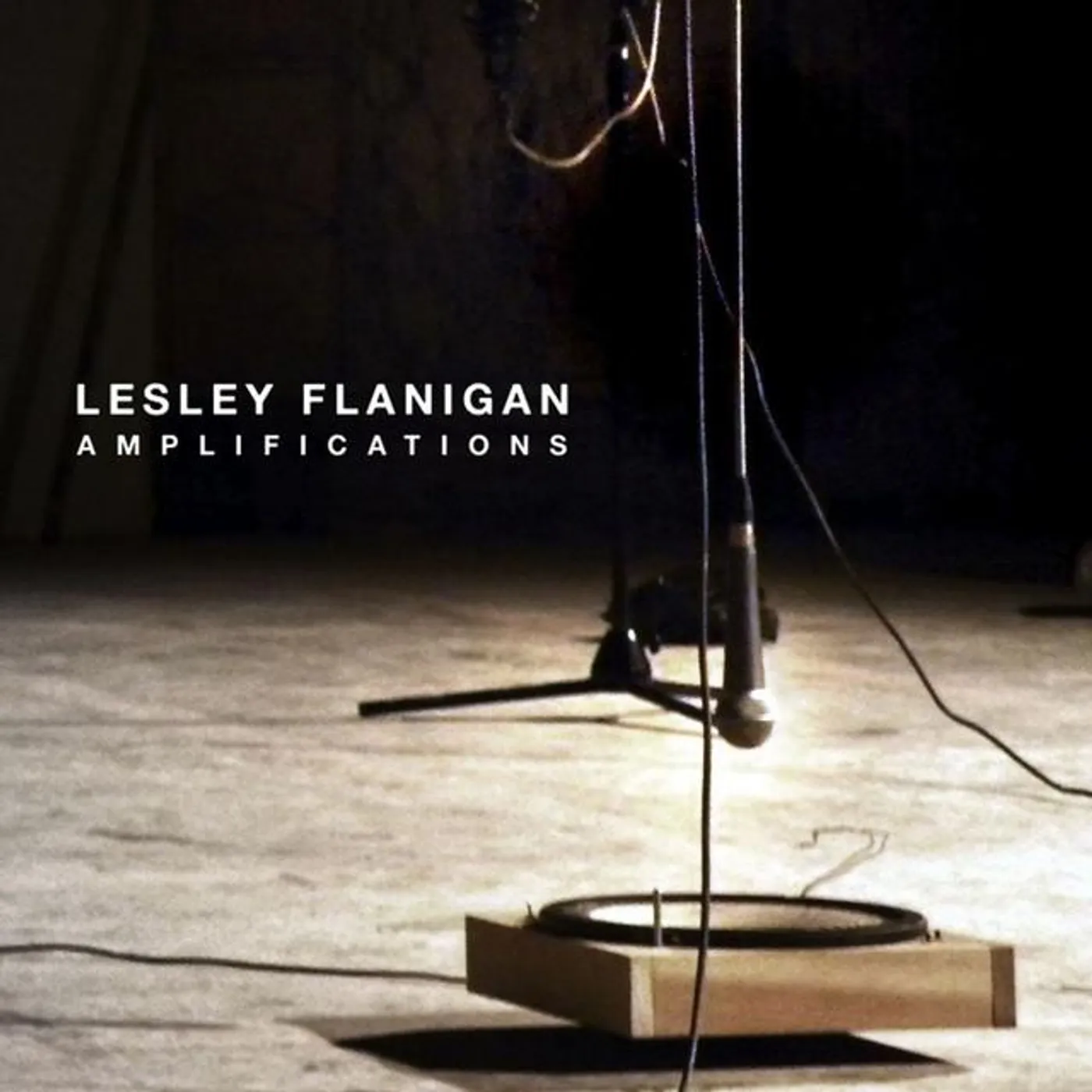 Lesley Flanigan