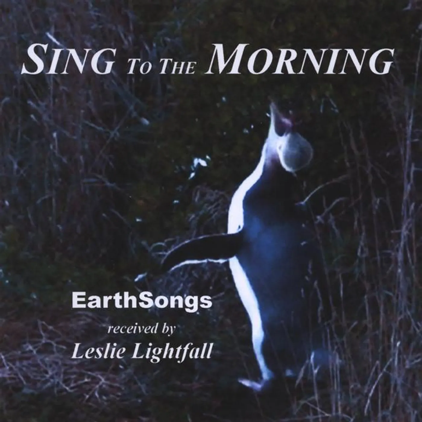 Leslie Lightfall Brand Page