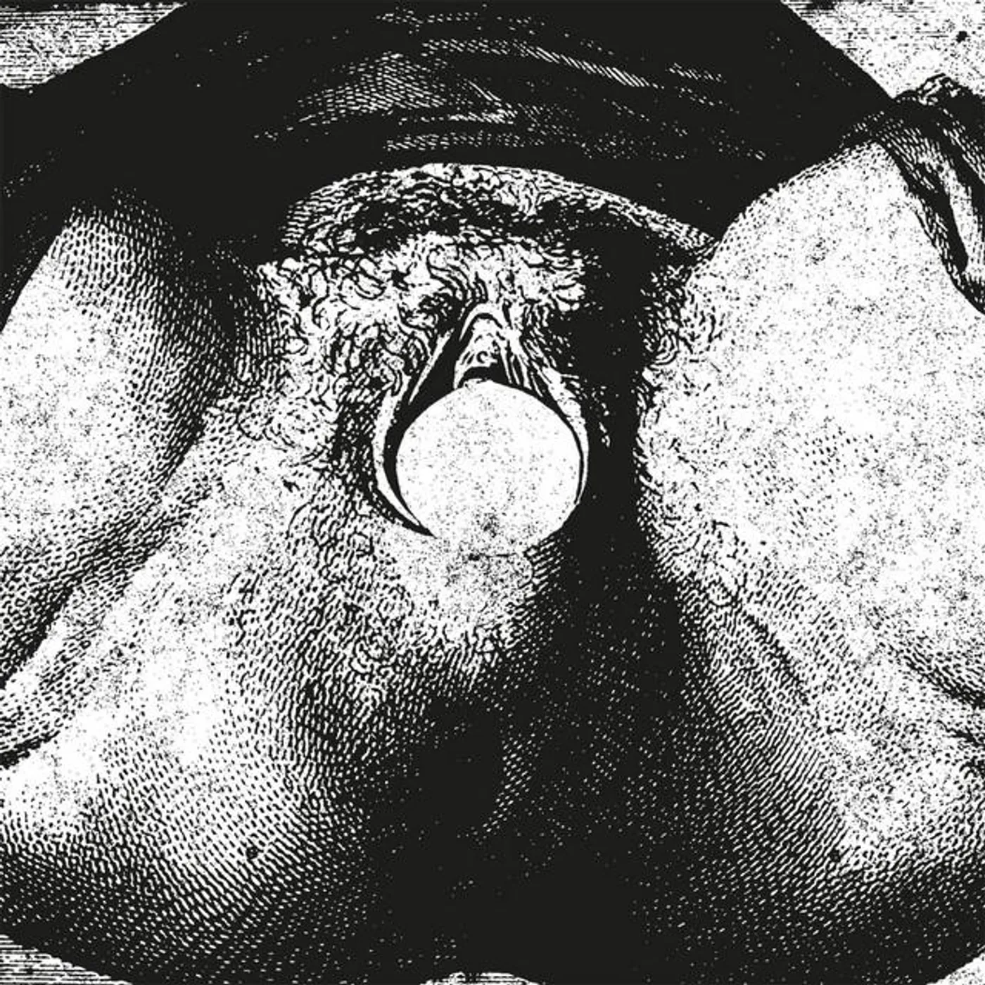 Lithopedion Brand Page