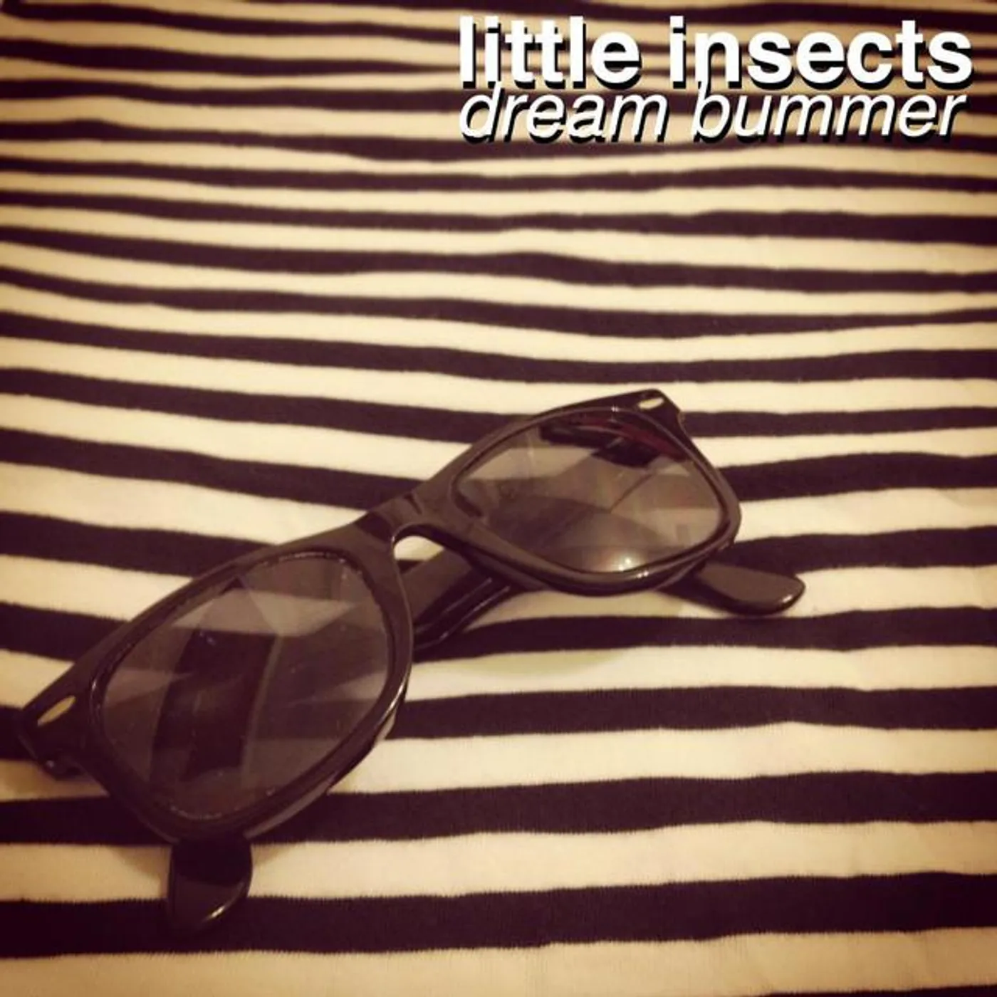Little Insects