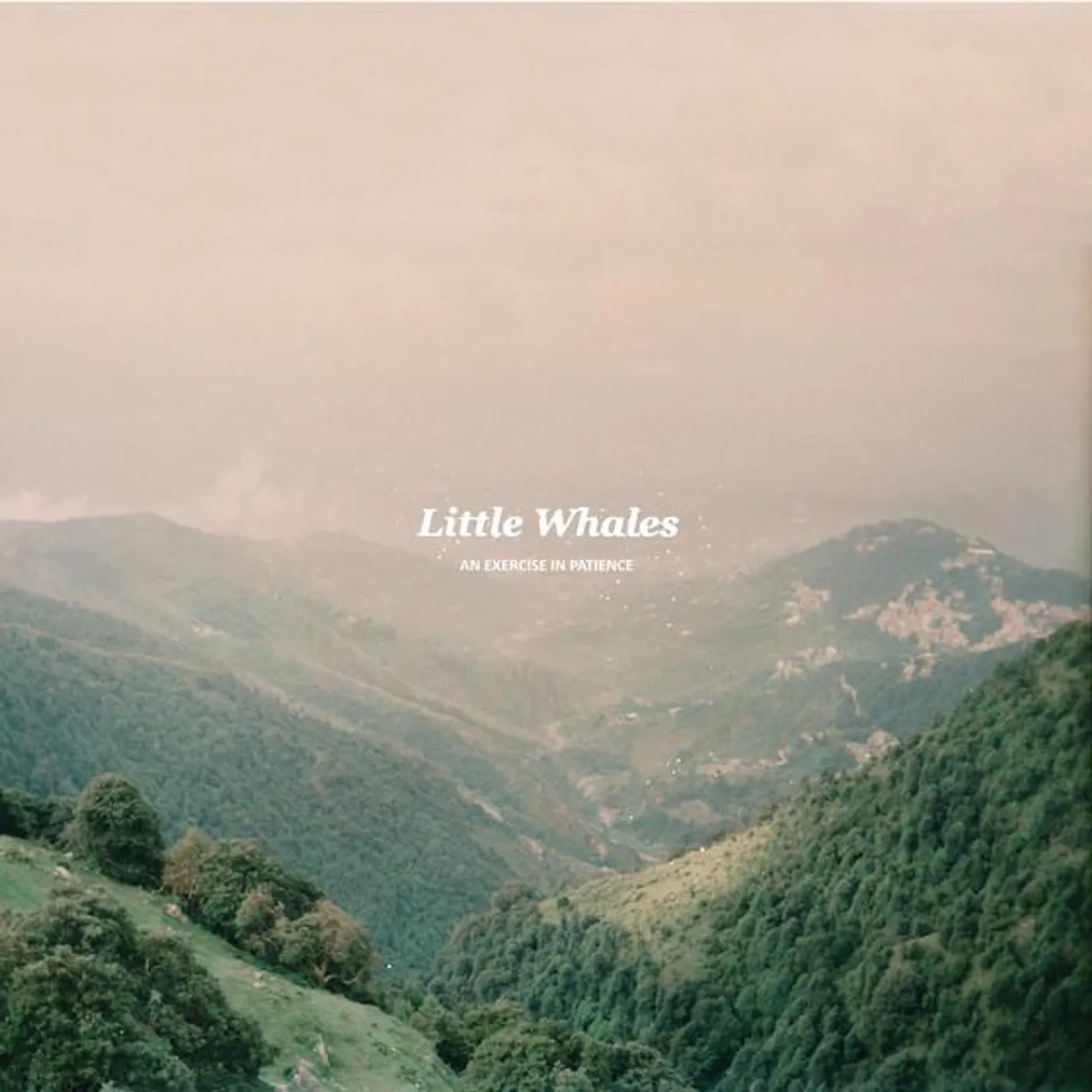 Little Whales