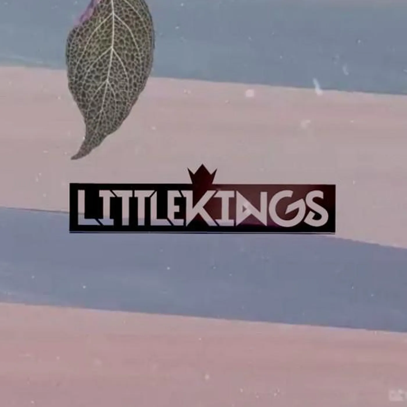 LittleKings
