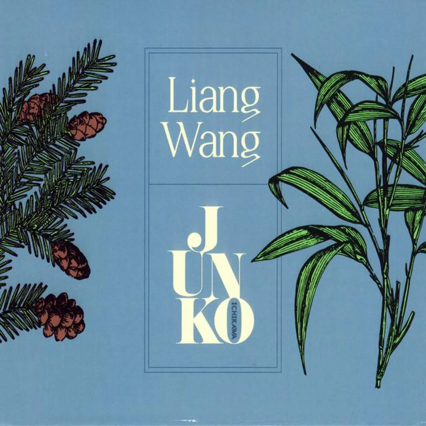 Liang Wang