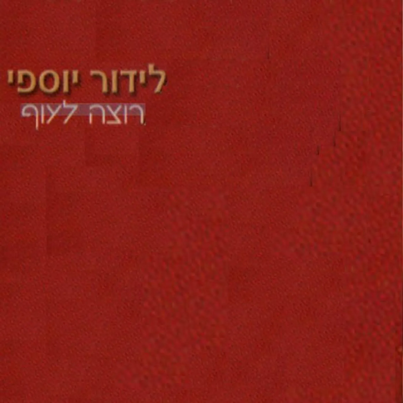 Lidor Yosefi