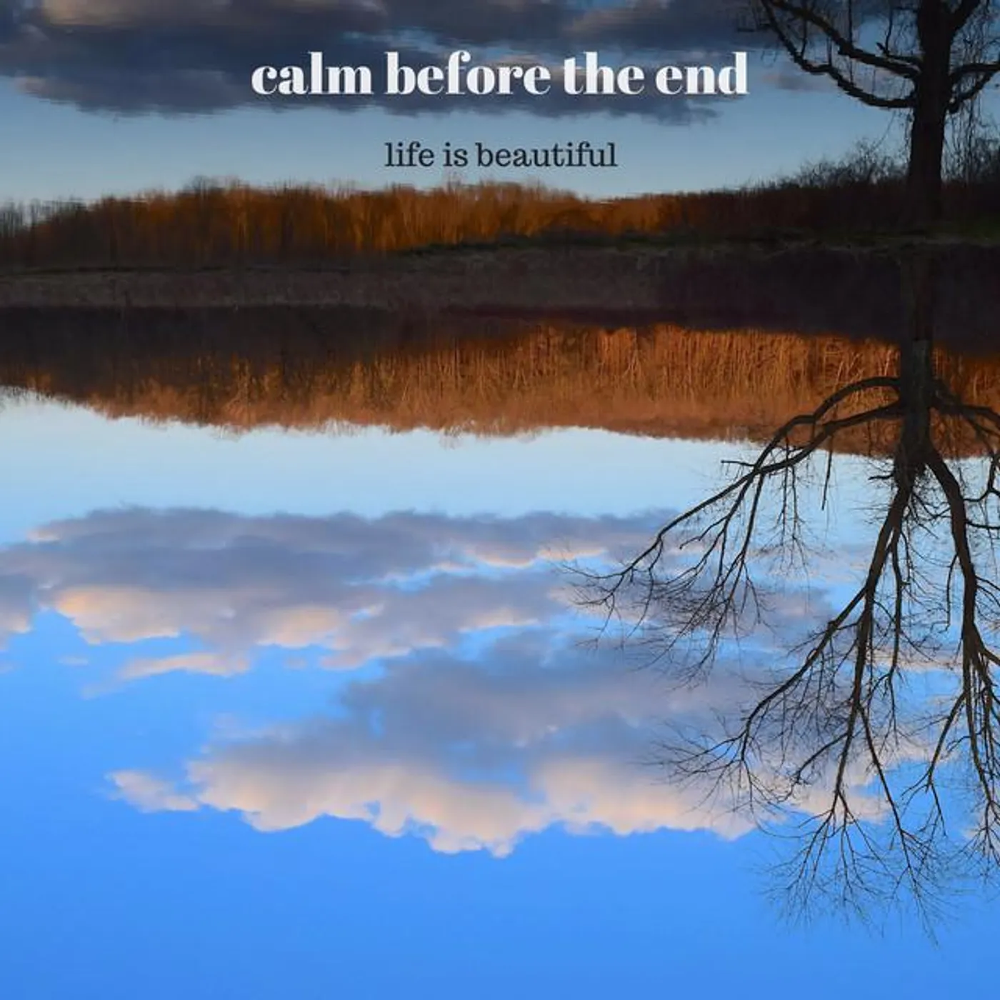 Life is Beautiful