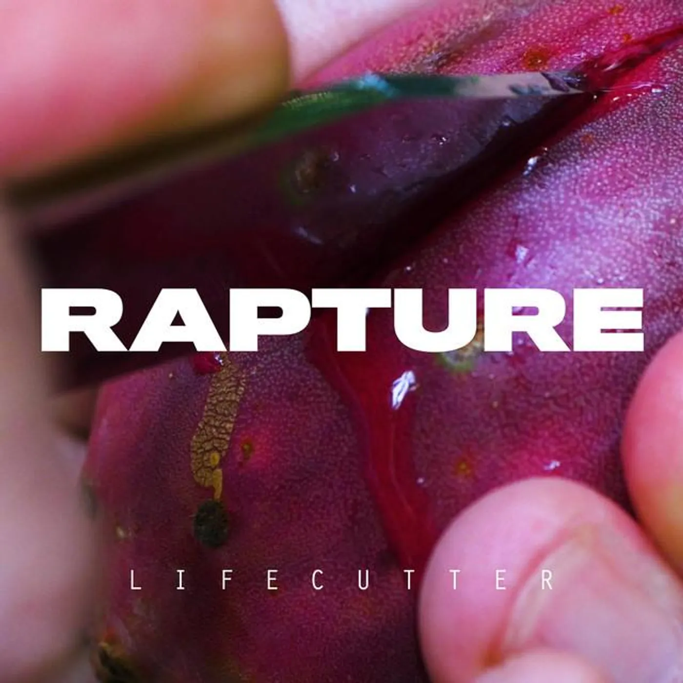Lifecutter