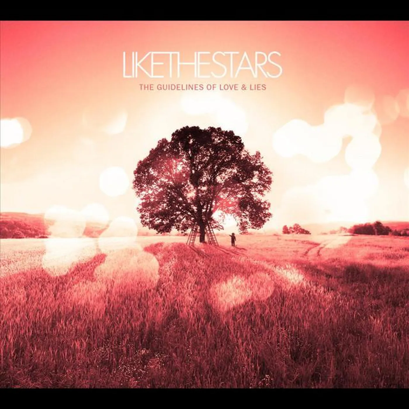 Like the Stars Brand Page