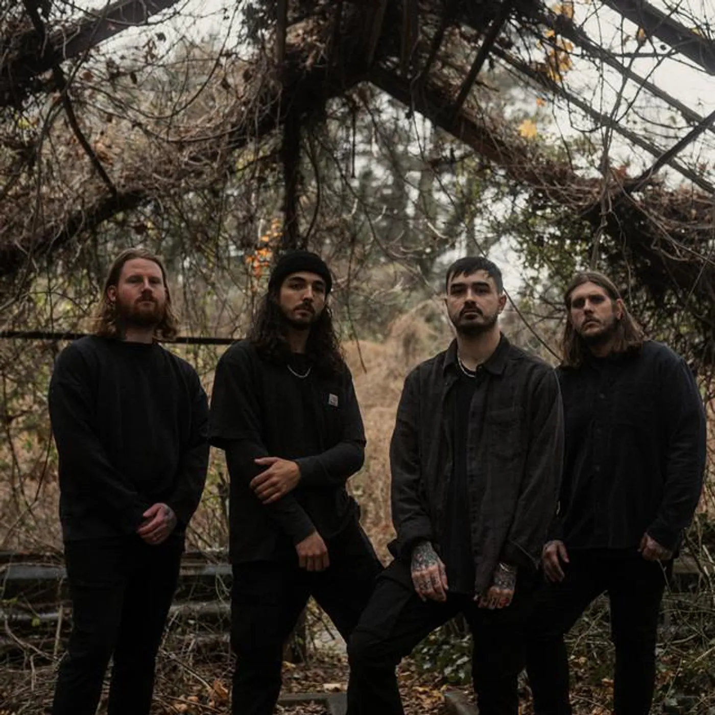 Like Moths To Flames Brand Page