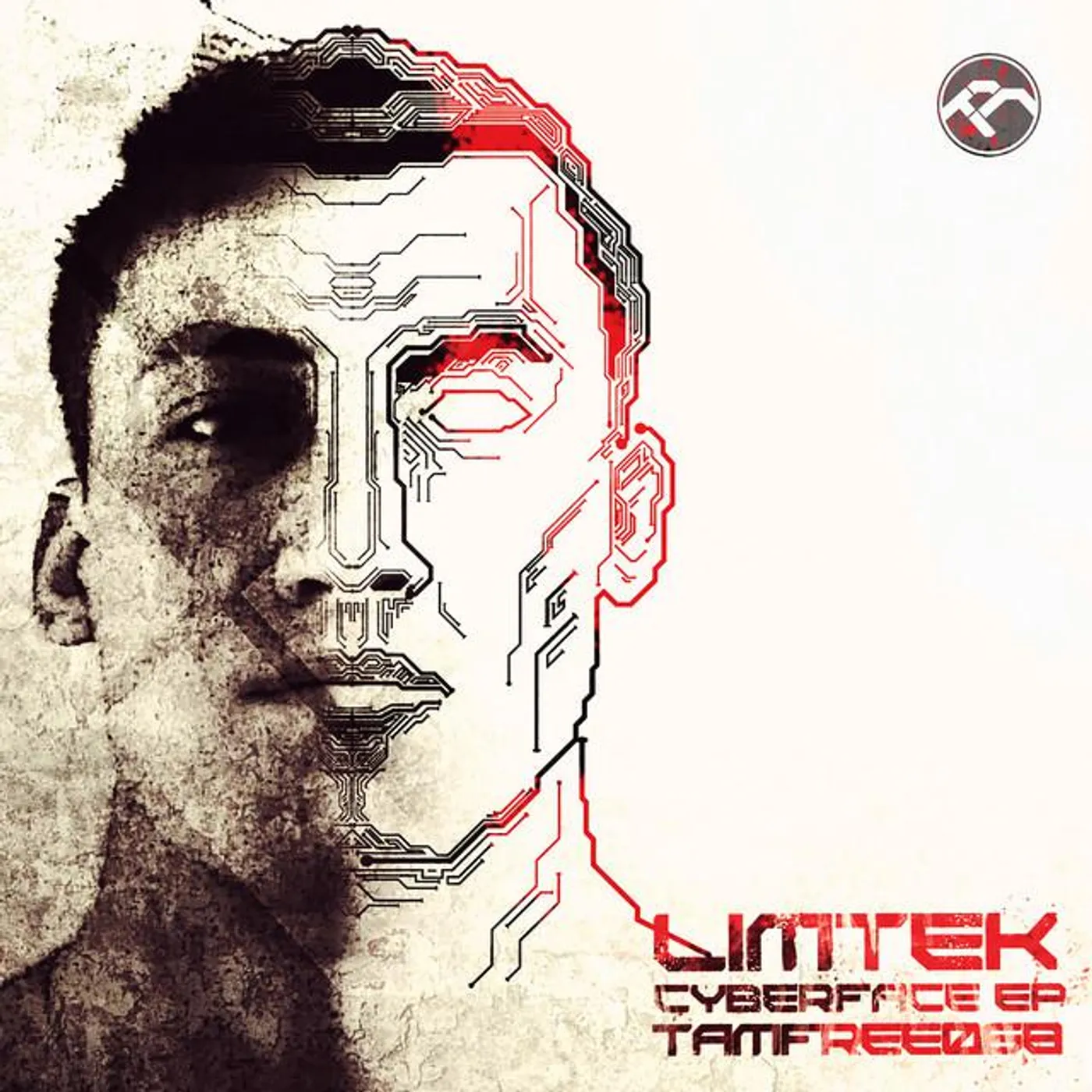 Limtek
