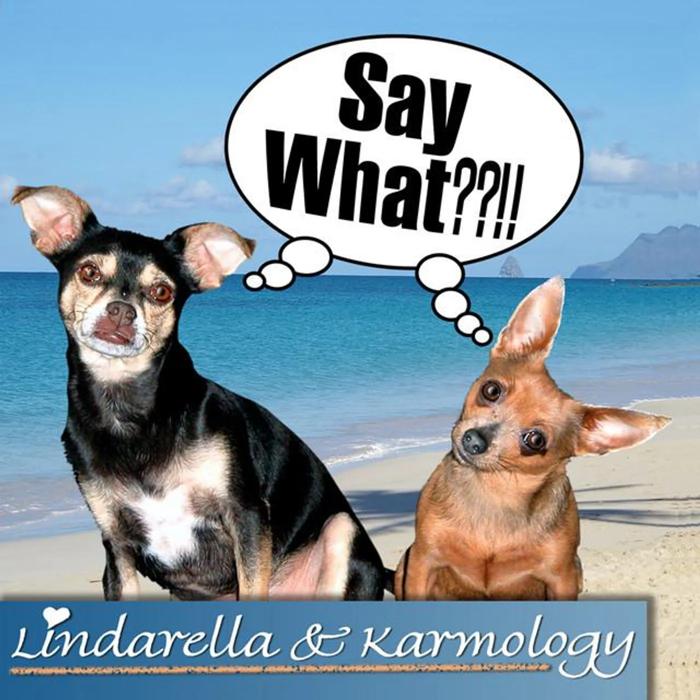 Lindarella & Karmology Brand Page