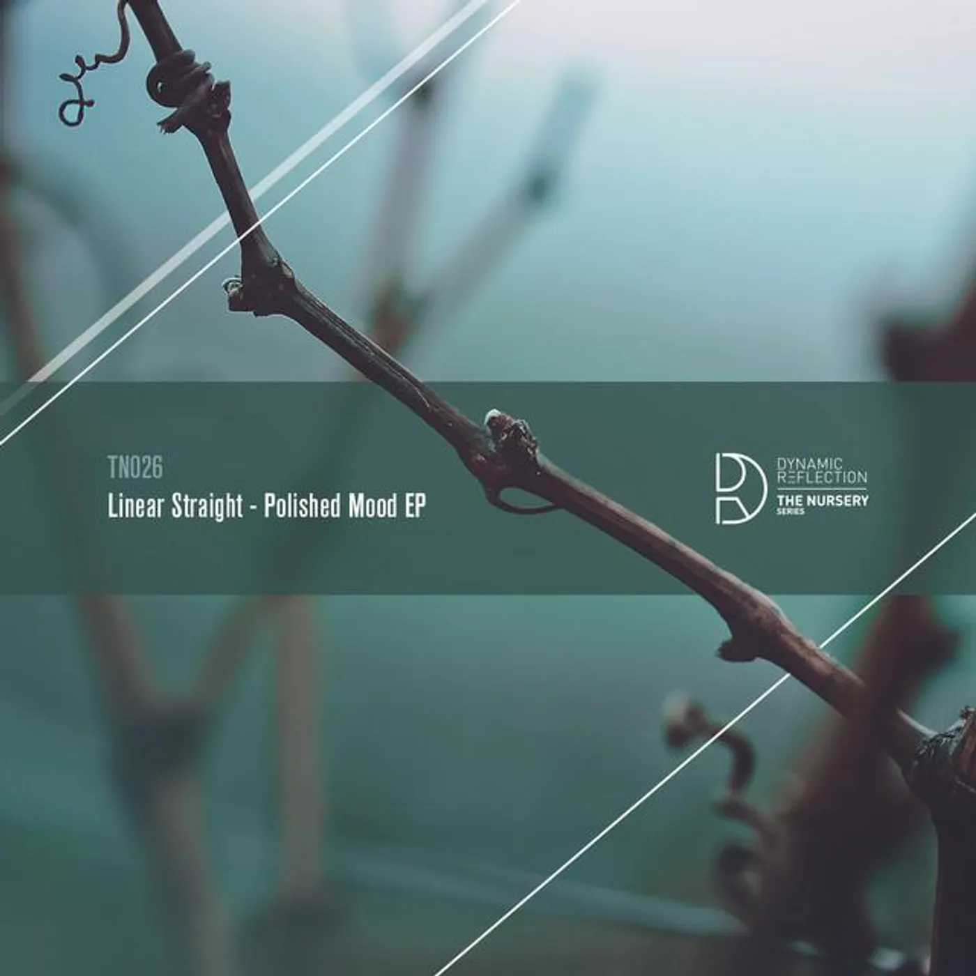 Linear Straight